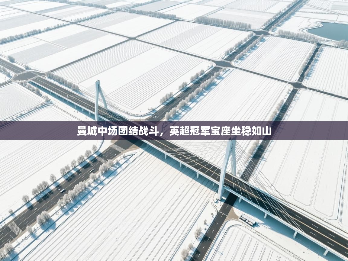 曼城中场团结战斗，英超冠军宝座坐稳如山  第2张