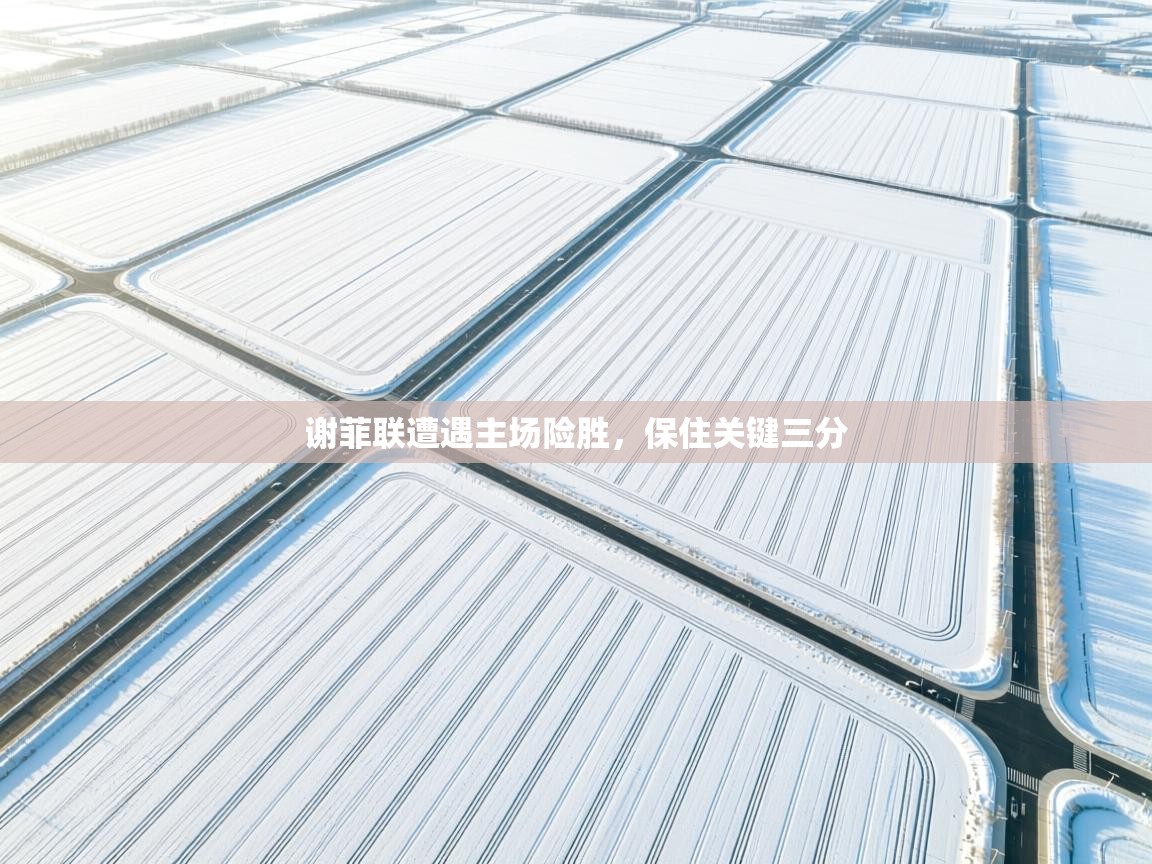 谢菲联遭遇主场险胜,保住关键三分 第2张