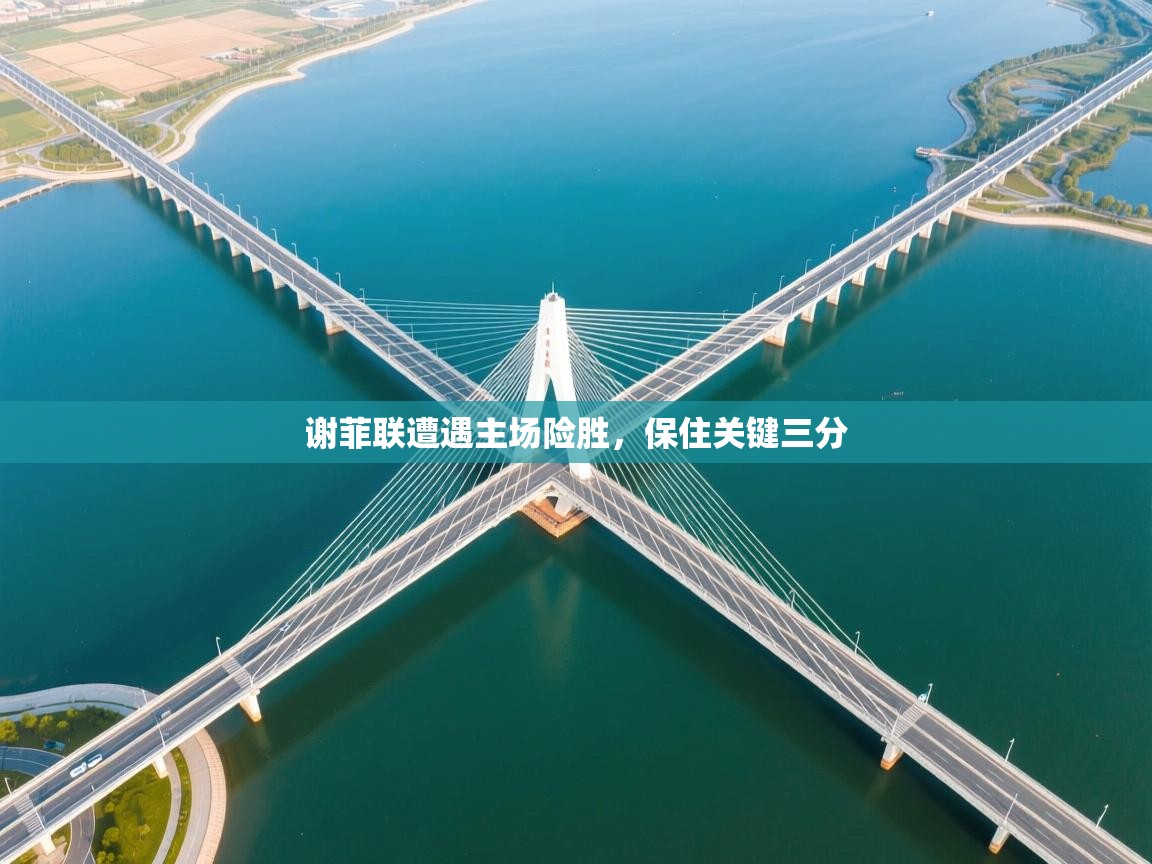 谢菲联遭遇主场险胜,保住关键三分 第1张