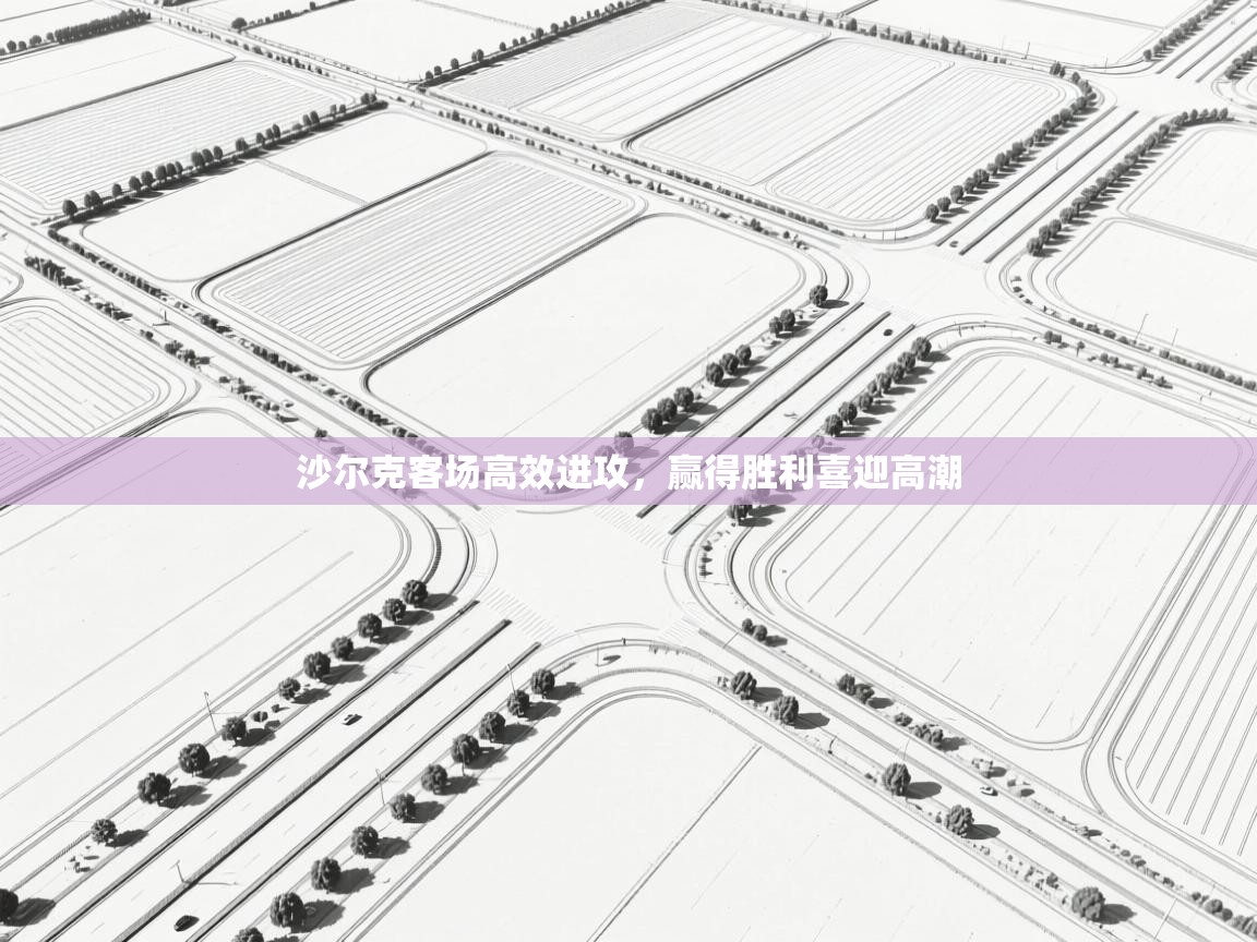 沙尔克客场高效进攻，赢得胜利喜迎高潮  第1张