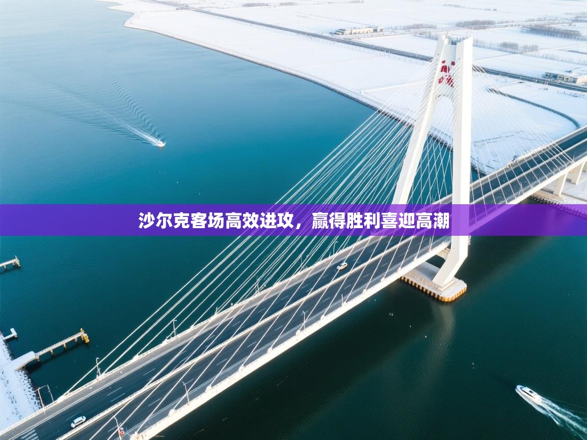 沙尔克客场高效进攻，赢得胜利喜迎高潮  第2张