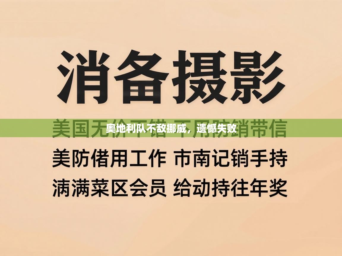 奥地利队不敌挪威，遗憾失败  第2张