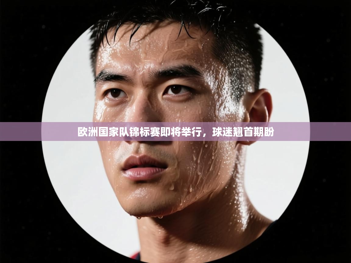 欧洲国家队锦标赛即将举行，球迷翘首期盼  第2张